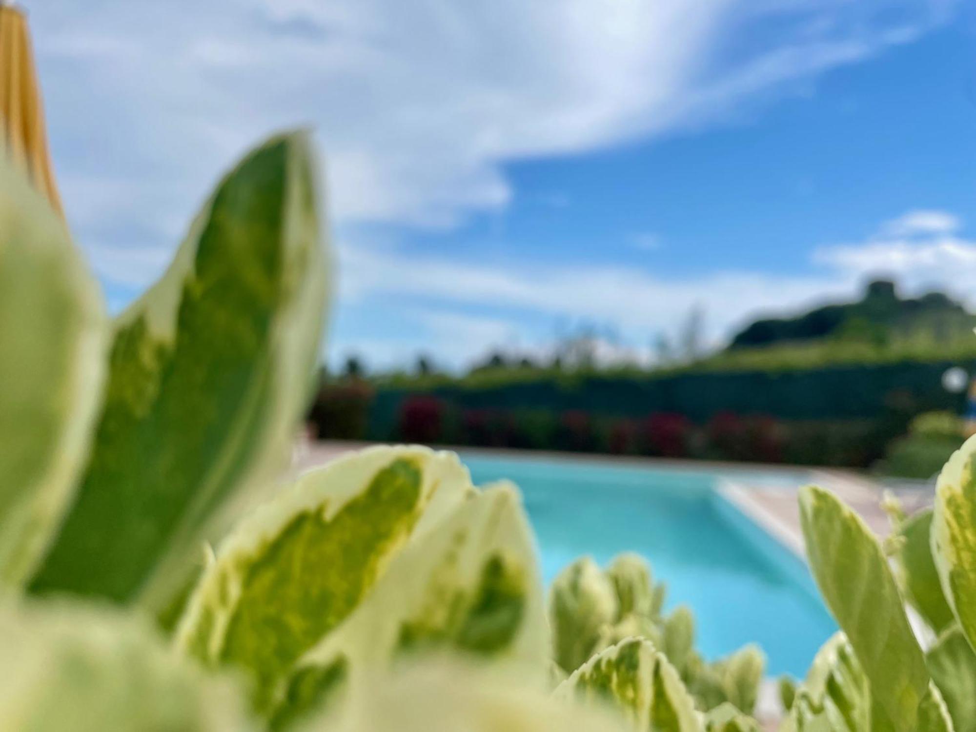 Vigneto - Italian Restaurant & B&B Villa Rosa Di Martinsicuro Exteriör bild