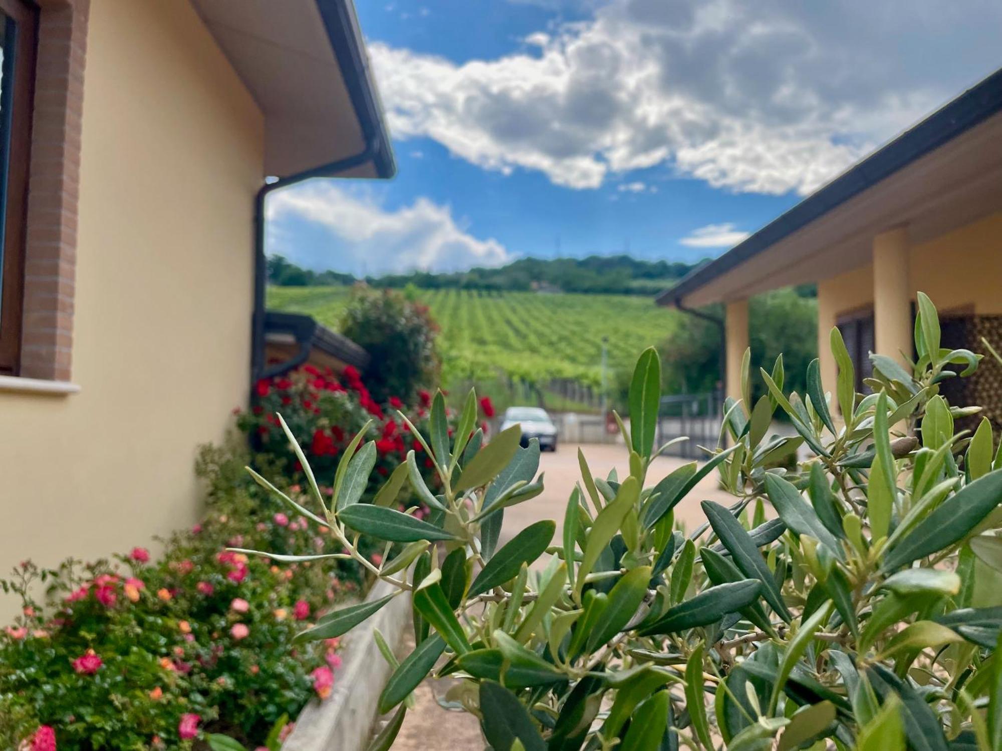 Vigneto - Italian Restaurant & B&B Villa Rosa Di Martinsicuro Exteriör bild